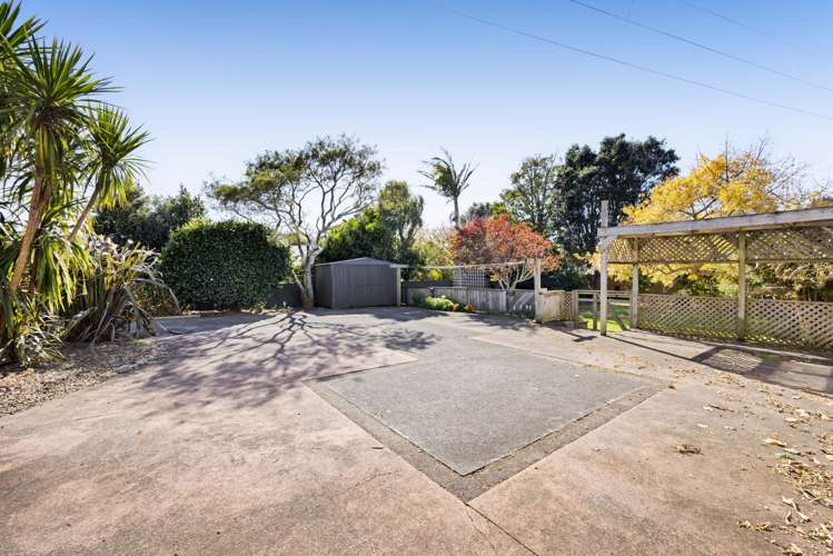 3a Waimea Street Westown_6