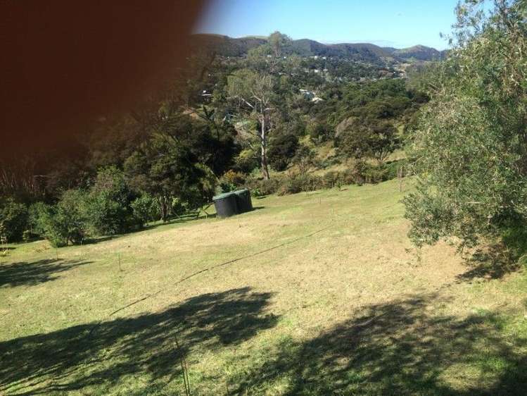 75 Junction Road Palm Beach_9