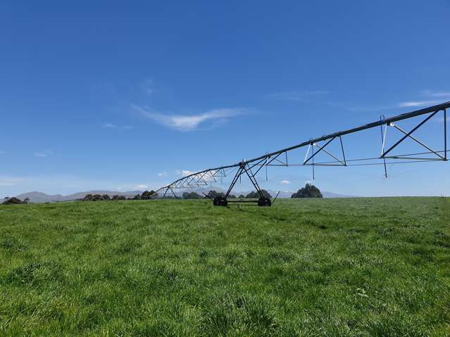 480 Island Cliff-Duntroon Road Island Cliff_4