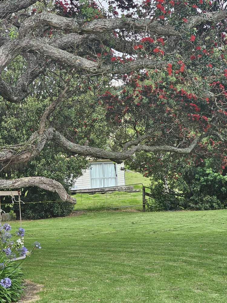 121 Ohawini Road Oakura_29