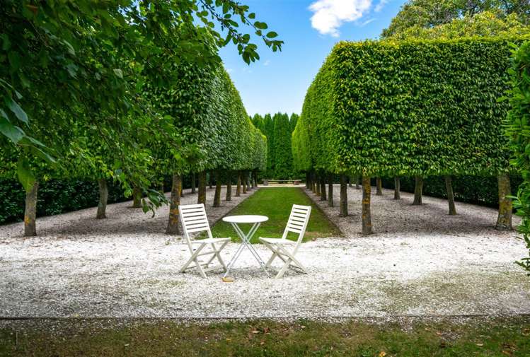 112 Odwyers Road Rapaura_3