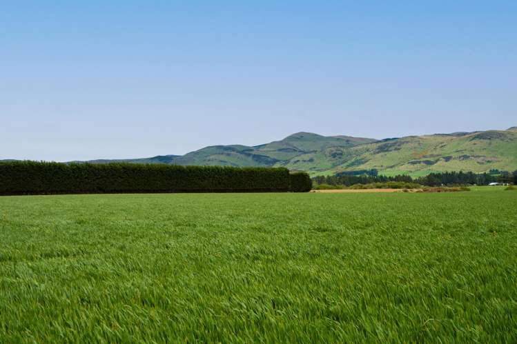 Warr Road. Balfour_4