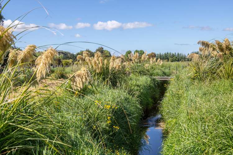 64 Matapihi Road Masterton_14