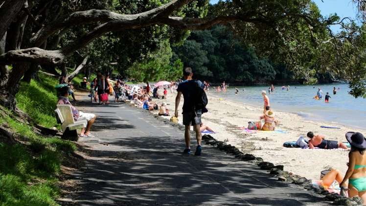 2/464 Point Chevalier Road Point Chevalier_18