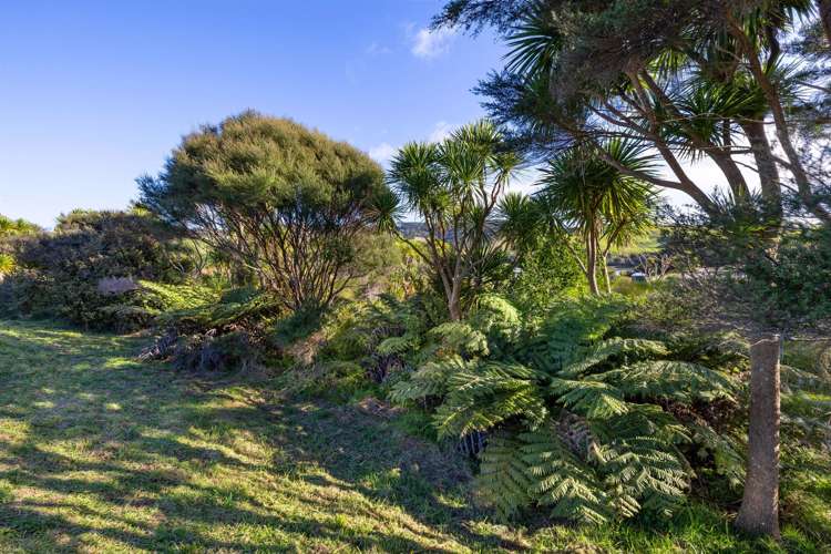 9 Waipatukahu Lane Raglan_19