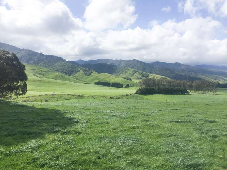 1550 Top Grass Road Rangitikei Surrounds_9