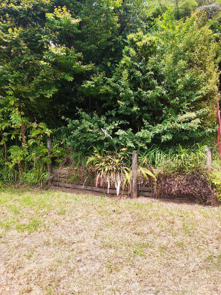 1166 Kennedy Bay Road Coromandel_16