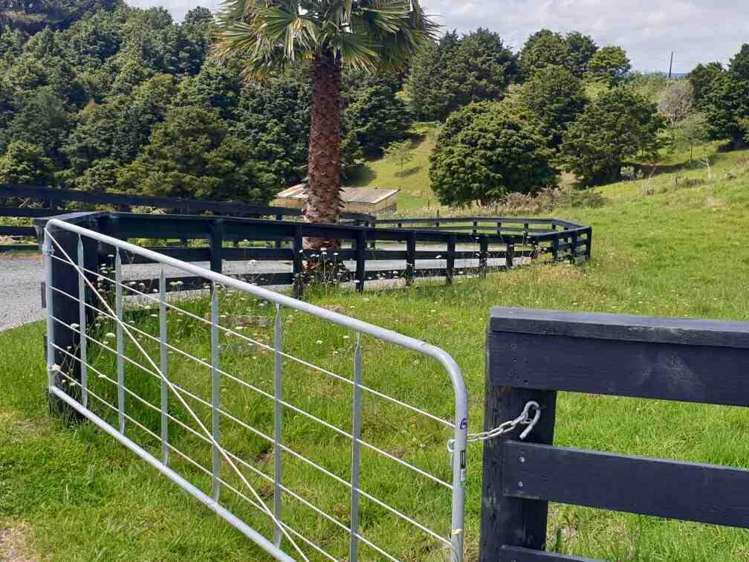 2568d Paparoa-Oakleigh Road Paparoa_16