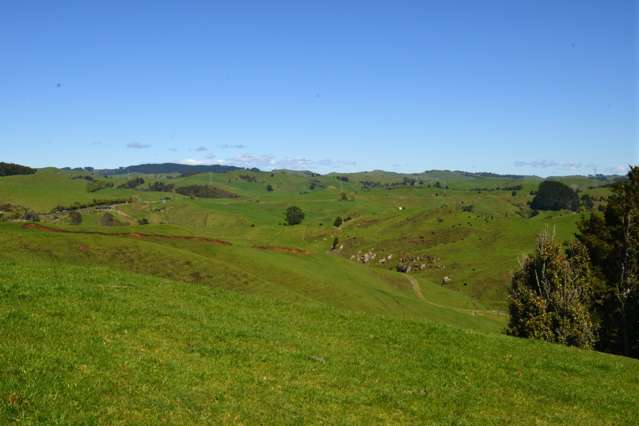 10 Kopaki Road Te Kuiti_1