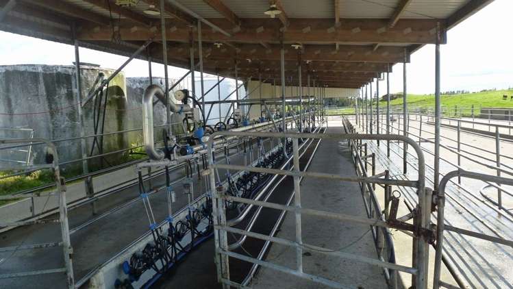 224 Croydon Road Midhirst_10