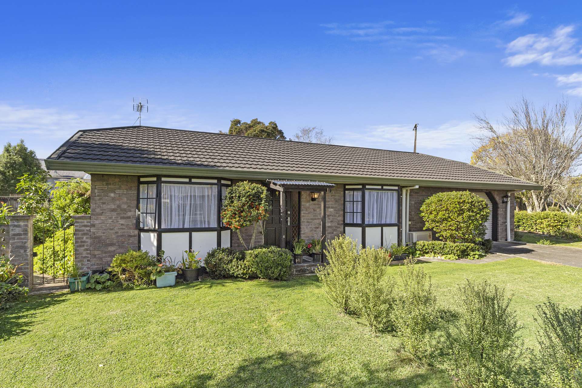 77b Allen Street Morrinsville_0