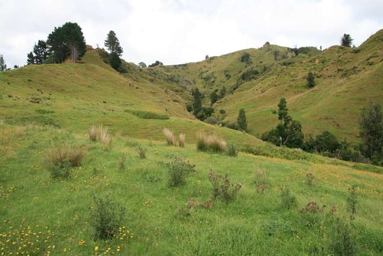 544 Mohakatino Road Mokau_21