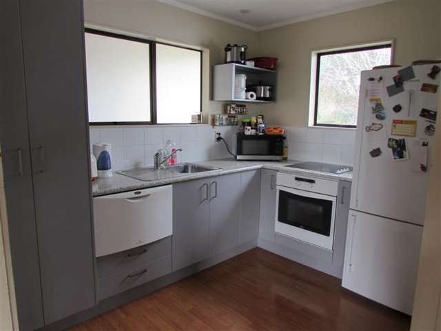 169a Whitney Street Blockhouse Bay_3