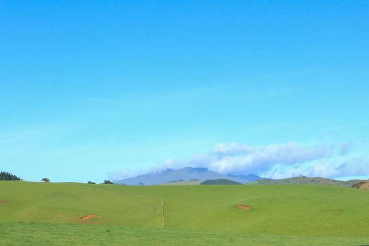 30 Van Houtte Road Raglan_1