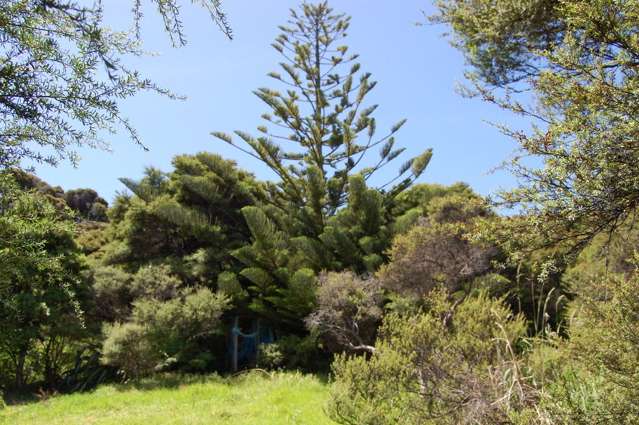 333 Blind Bay Road Great Barrier Island (Aotea Island)_2