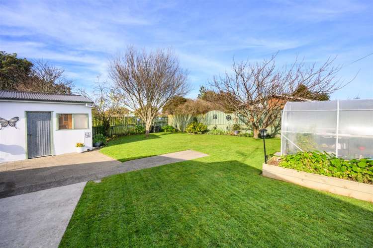 21 Flower Street Bulls_31