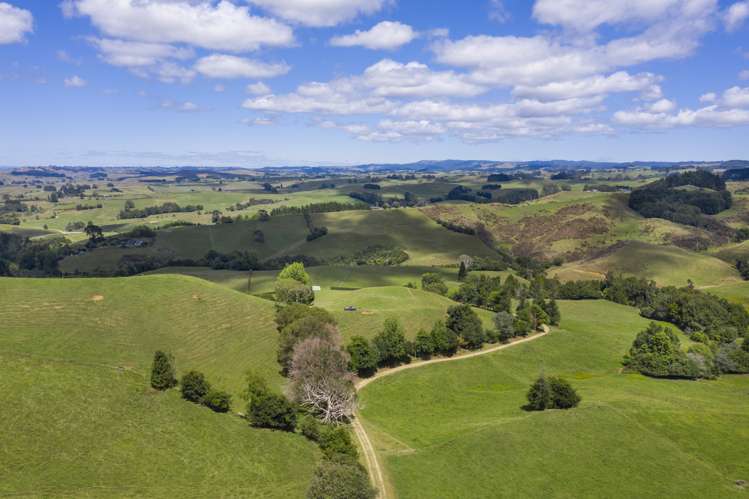 Te Tahi Road Puketotara_10