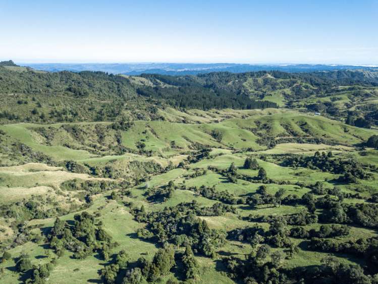 Kaitieke Road Owhango_4