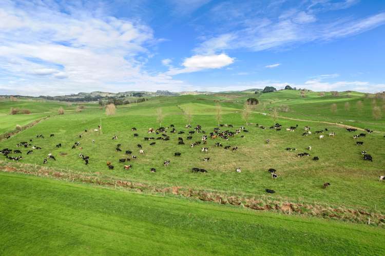 197 Broughton Road Ruawaro_12