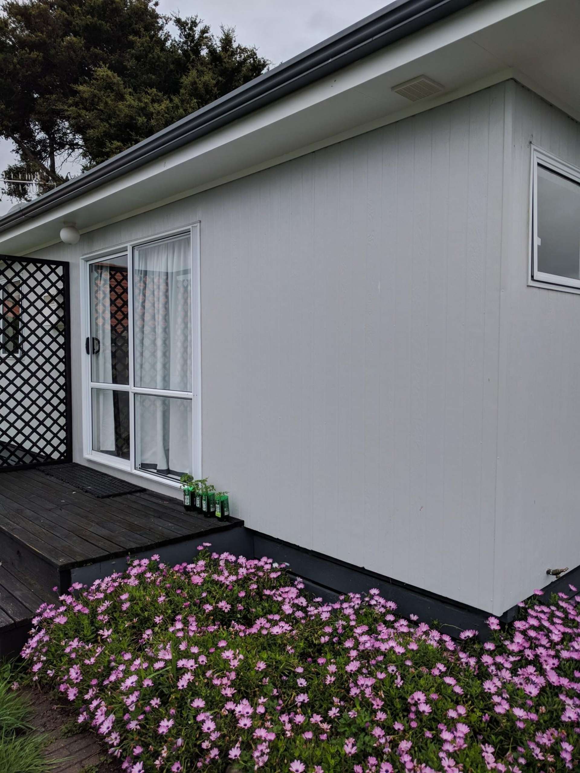  C/7 Saxton Street Levin_0