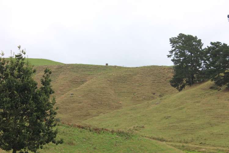 85 Veale Road Otorohanga_7