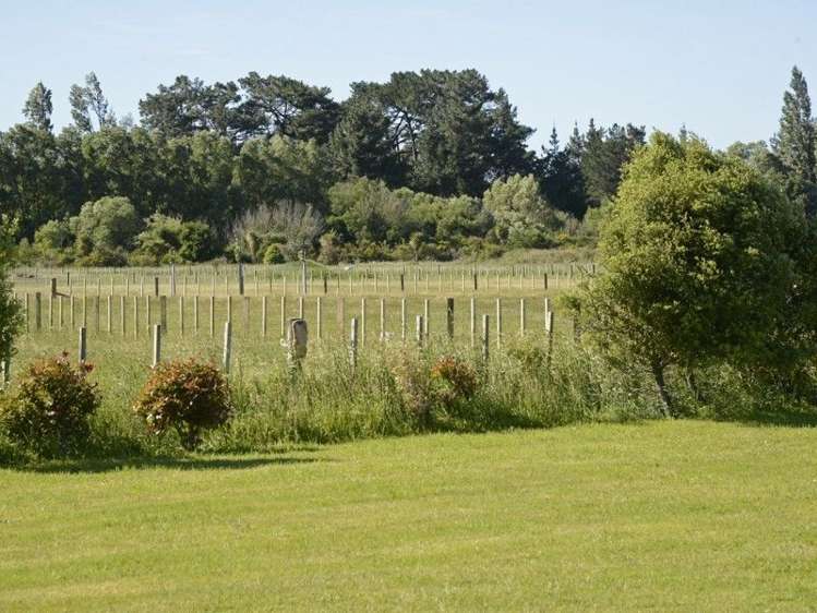 433 Belvedere Road Carterton_21