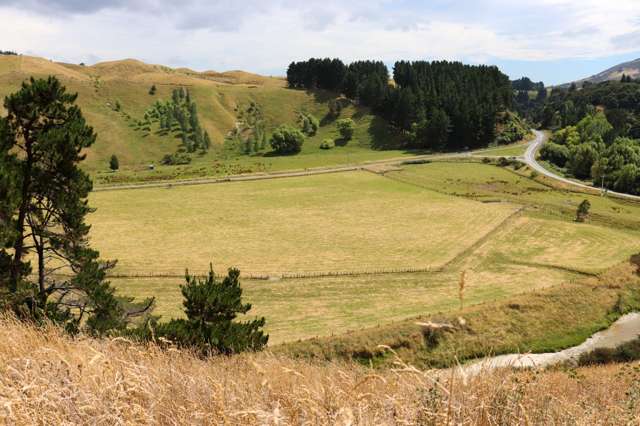8401 Route 52 Dannevirke_3