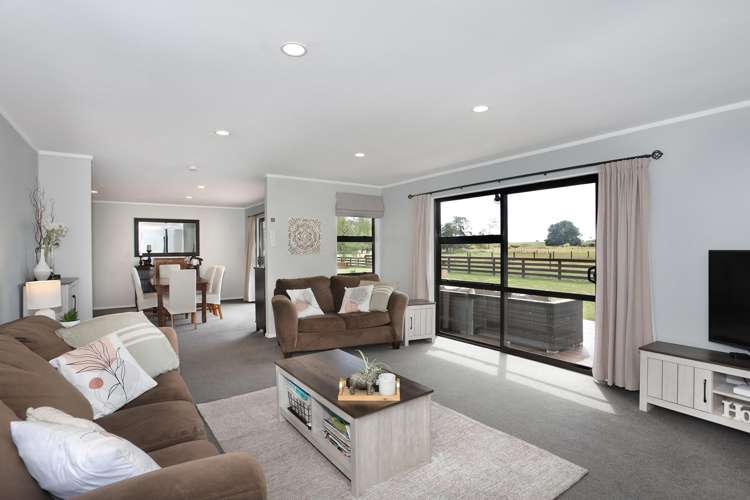 455b State Highway 1 Bulls_12