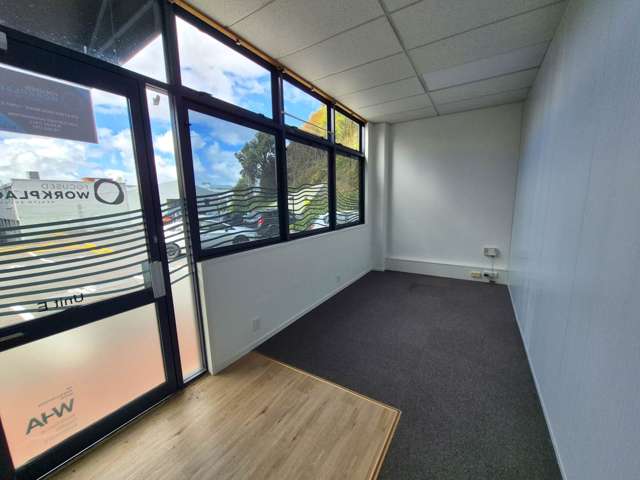 Unit E/375 Khyber Pass Road Newmarket_1