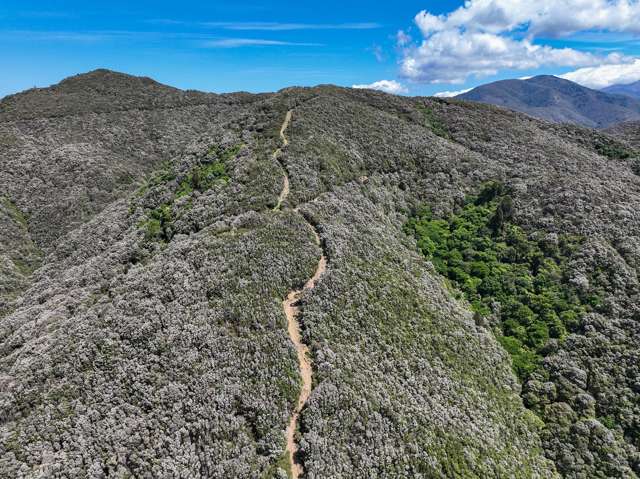 85696 State Highway 2 Mt Bruce_4