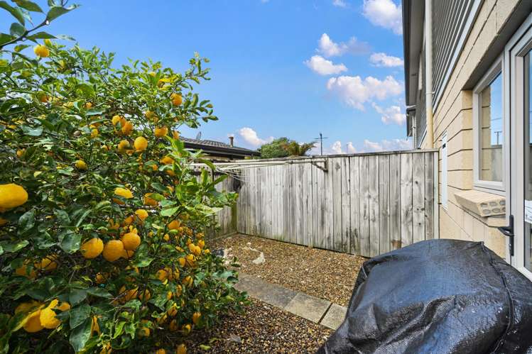 3C Dudley Terrace Frankton_17
