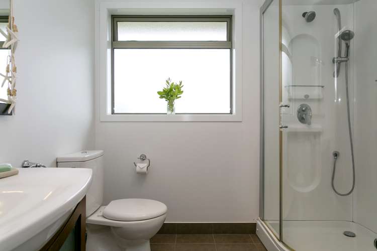 145 Palmer Mill Road Wairakei and Surrounds_18