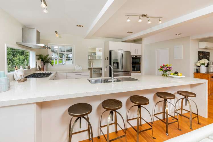 228 Lonely Track Road Dairy Flat_7