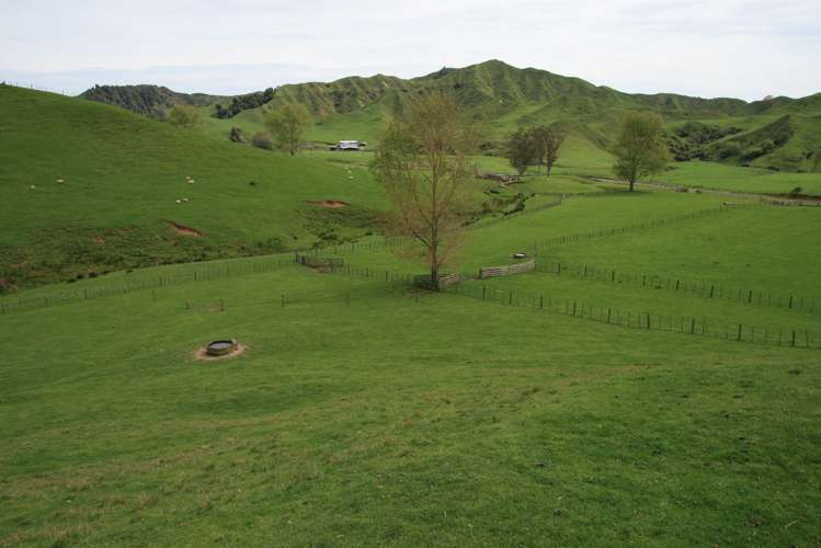 1756 Rawhitiroa Road Eltham_6