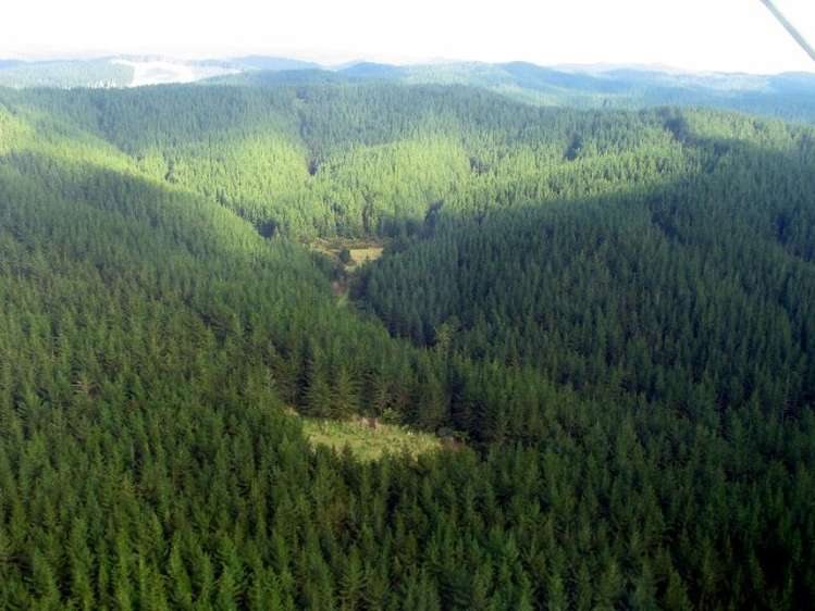 1068 Otaki Gorge Road Otaki_0