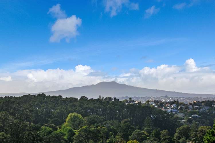 86 Onetaunga Road Chatswood_2