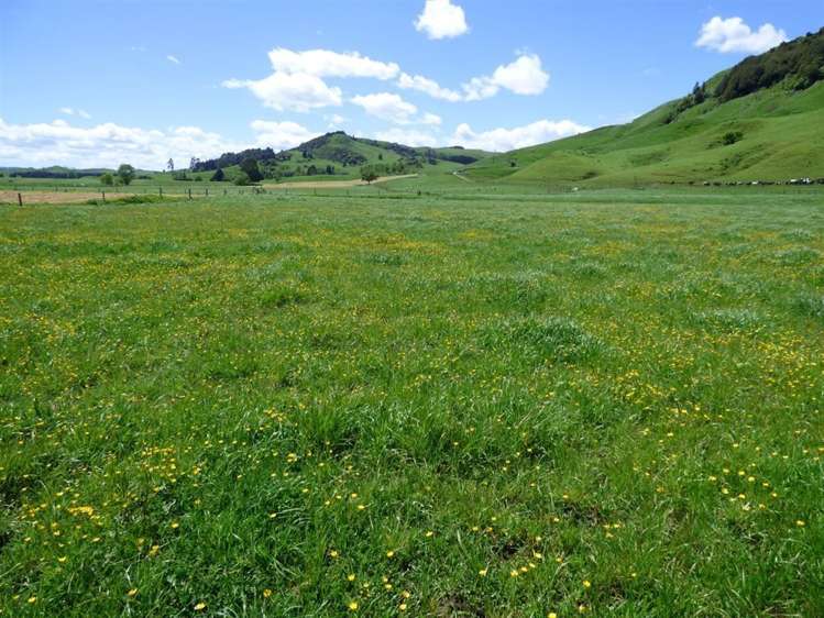 414 Kahuwera Road Te Kuiti_11