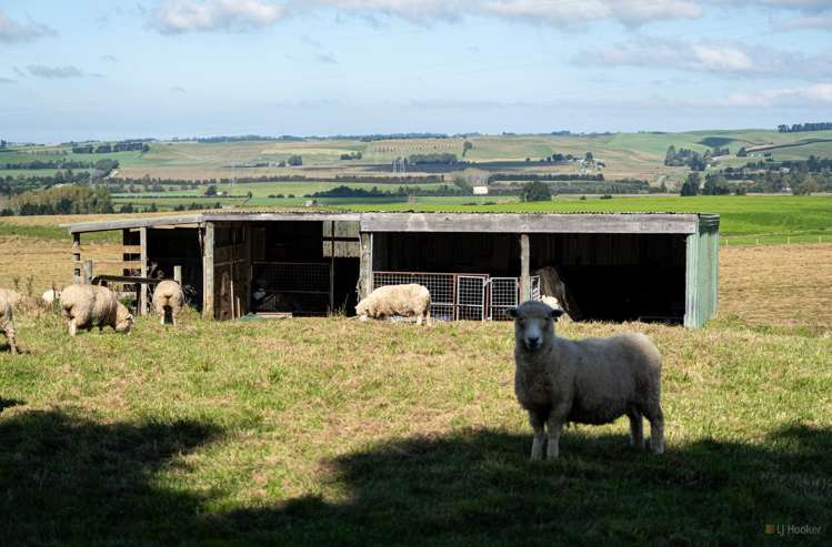 439 Howell Road Pleasant Point_19