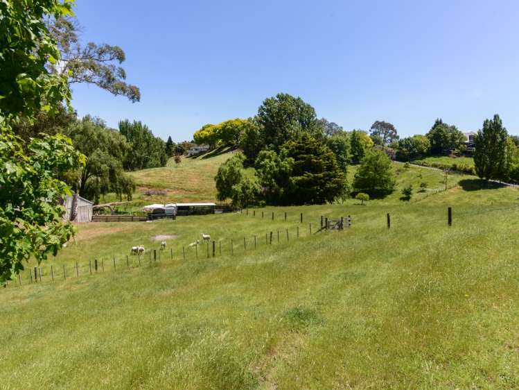 146 Poraiti Road Poraiti_19