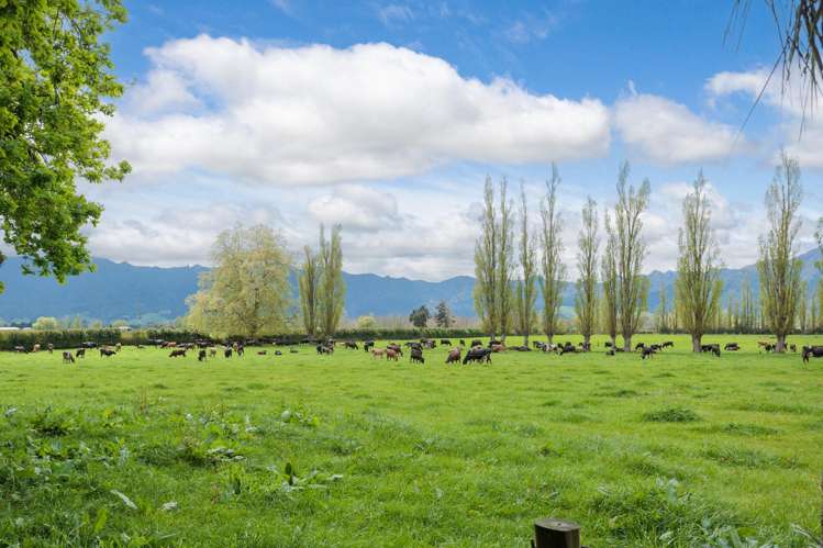131 School Road Te Aroha_24