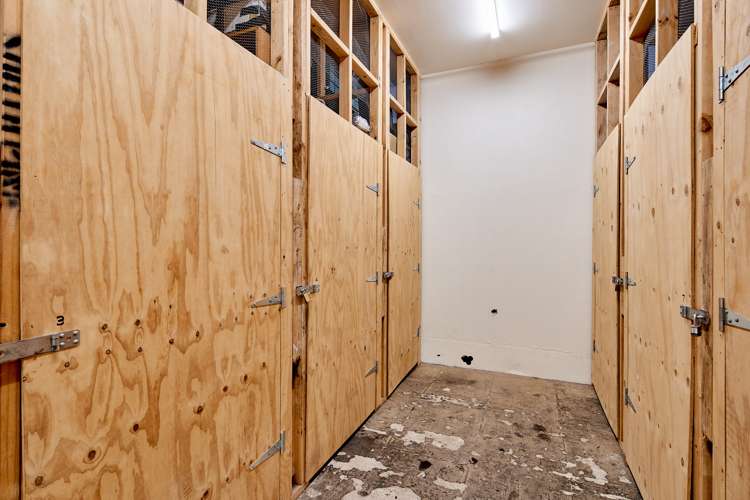 4/25 Tennyson Street Te Aro_19