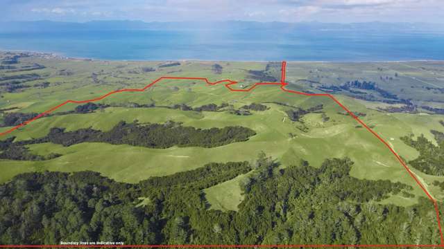Grazing, fishing, or investment with sea views