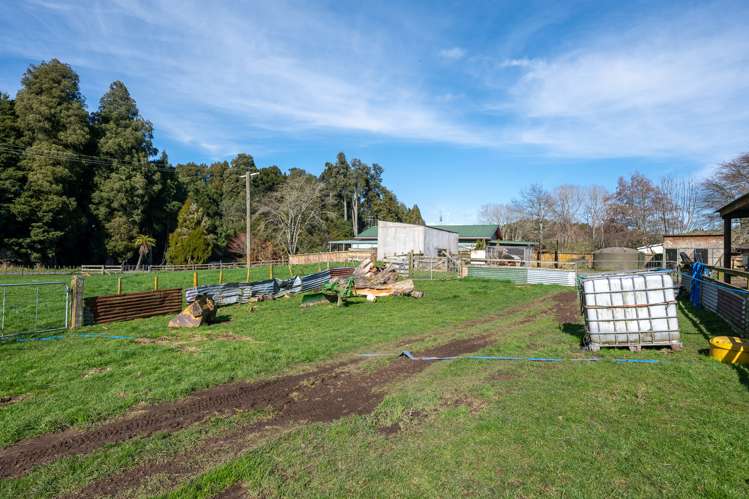 655 Whakapapa Road Kakahi_15