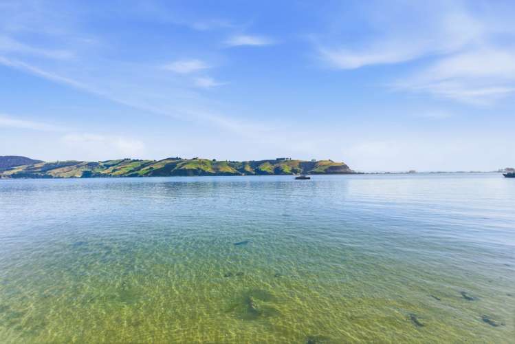 766 Harington Point Road Harington Point_21