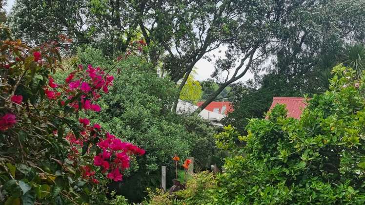 28 Summer Street Stanley Point_46