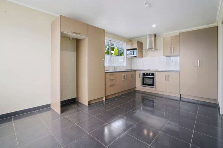 10 Subritzky Avenue Mount Roskill_5