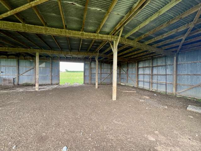 500 Woodlands South Road Rimu_2