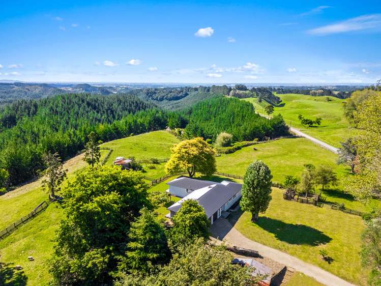 482 Ridge Road Paengaroa_29