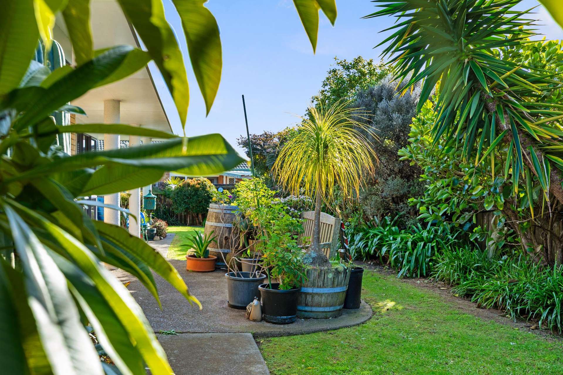 29 Luculia Drive Mount Maunganui_0