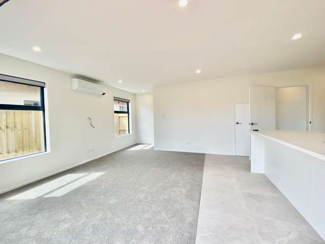 25 Therese Street Spreydon_4